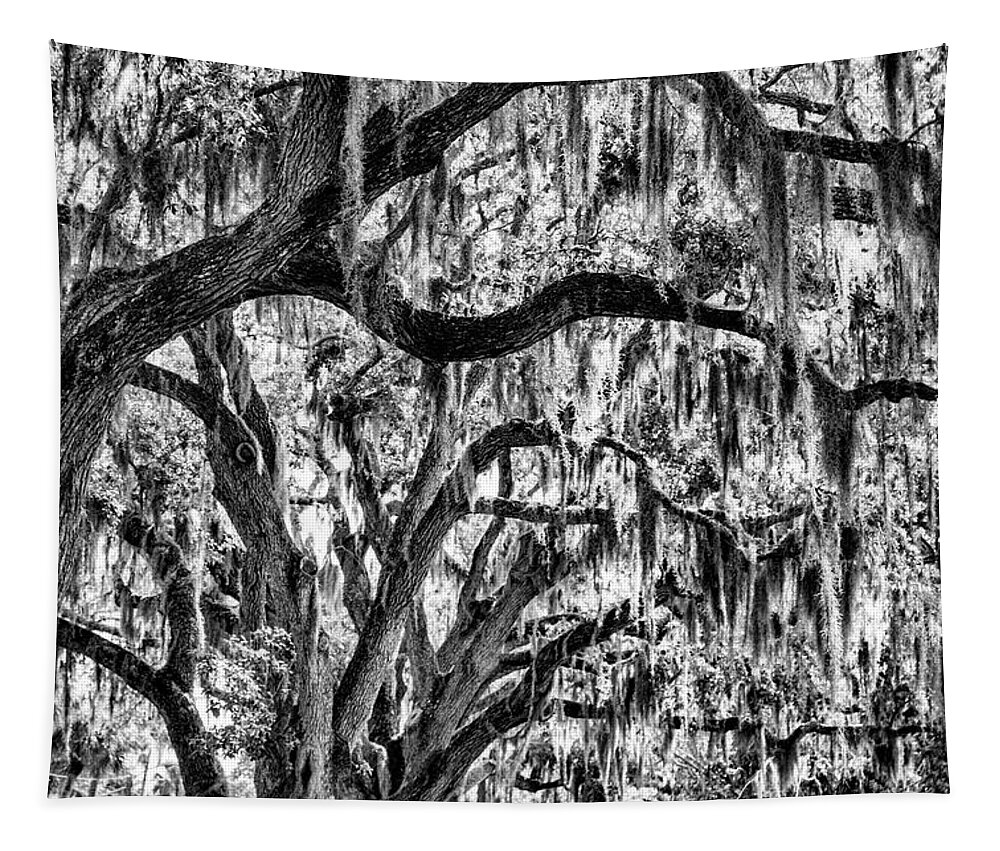 Moss Tapestry featuring the photograph Oak Trees Spanish Moss by Robert Wilder Jr