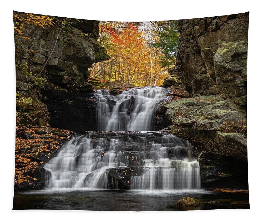 Maine Tapestry featuring the photograph Obscurity Falls by Colin Chase