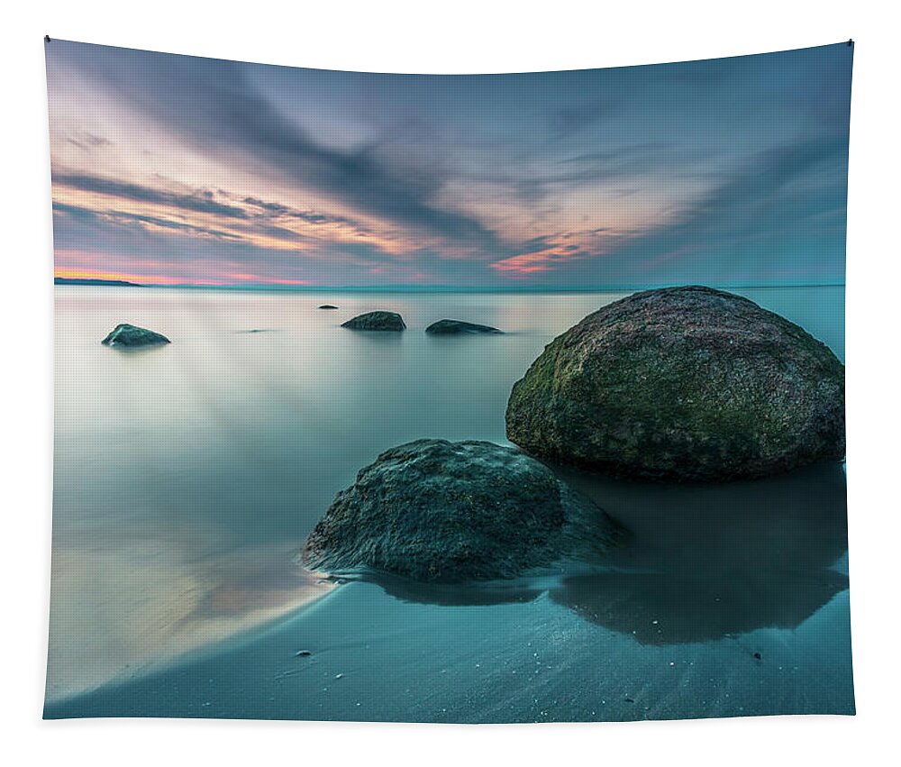 Dusk Tapestry featuring the photograph Observers by Evgeni Dinev