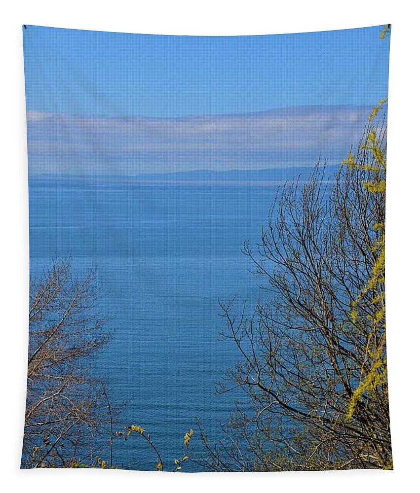 Oceanview Tapestry featuring the photograph Ocean View Between The Trees by James Cousineau