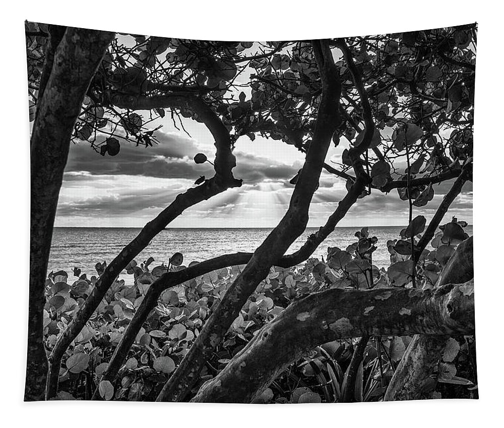 Beach Tapestry featuring the photograph Ocean View Through Seagrape Trees BW by Laura Fasulo