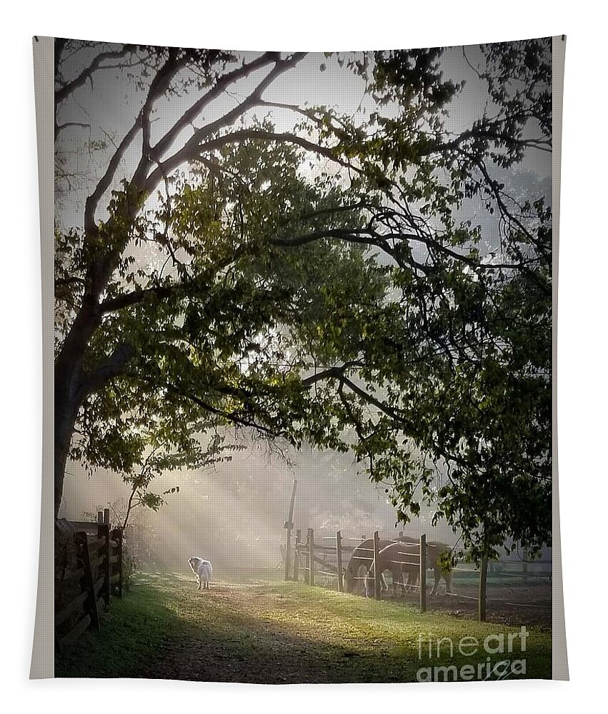 Sunlight Tapestry featuring the photograph Ochee in the morning light by Rabiah Seminole