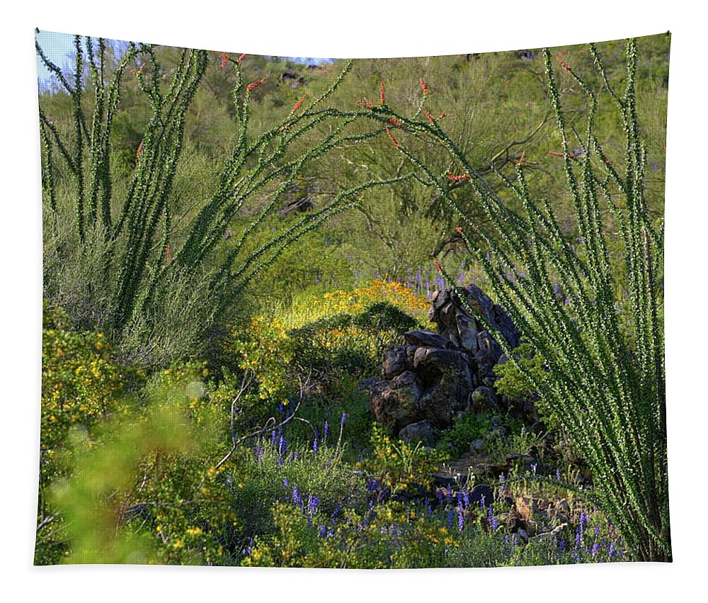 Desert Tapestry featuring the photograph Ocotillo Rock Garden by Gene Taylor