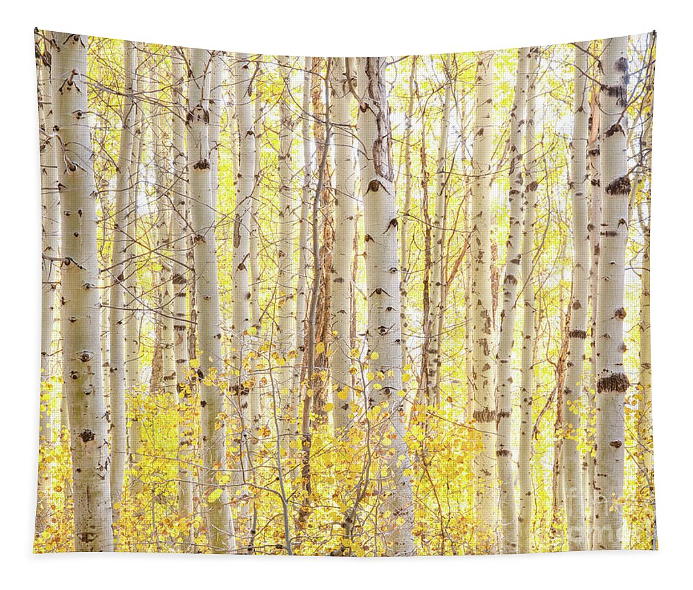 Aspen Tapestry featuring the photograph October Aspens by Leslie Wells