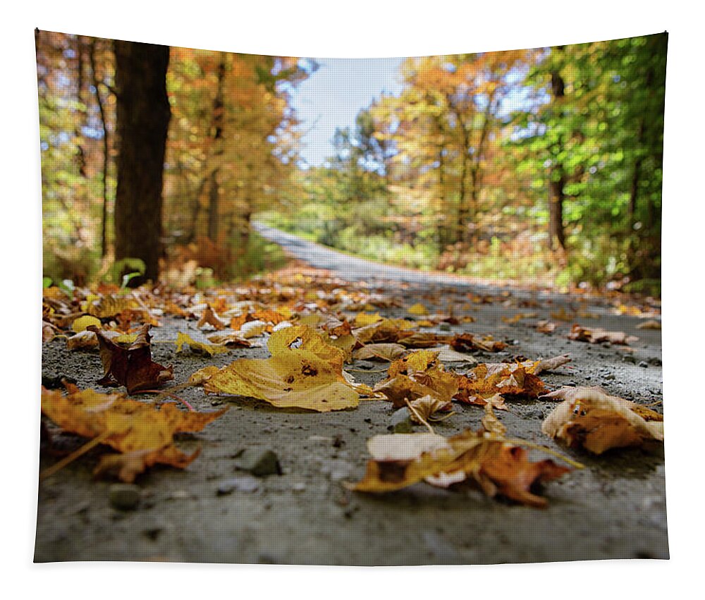 Autumn Tapestry featuring the photograph October Road by Carolyn Ann Ryan