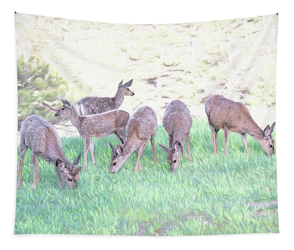 Deer Tapestry featuring the photograph Oh Deer by Jennifer Grossnickle
