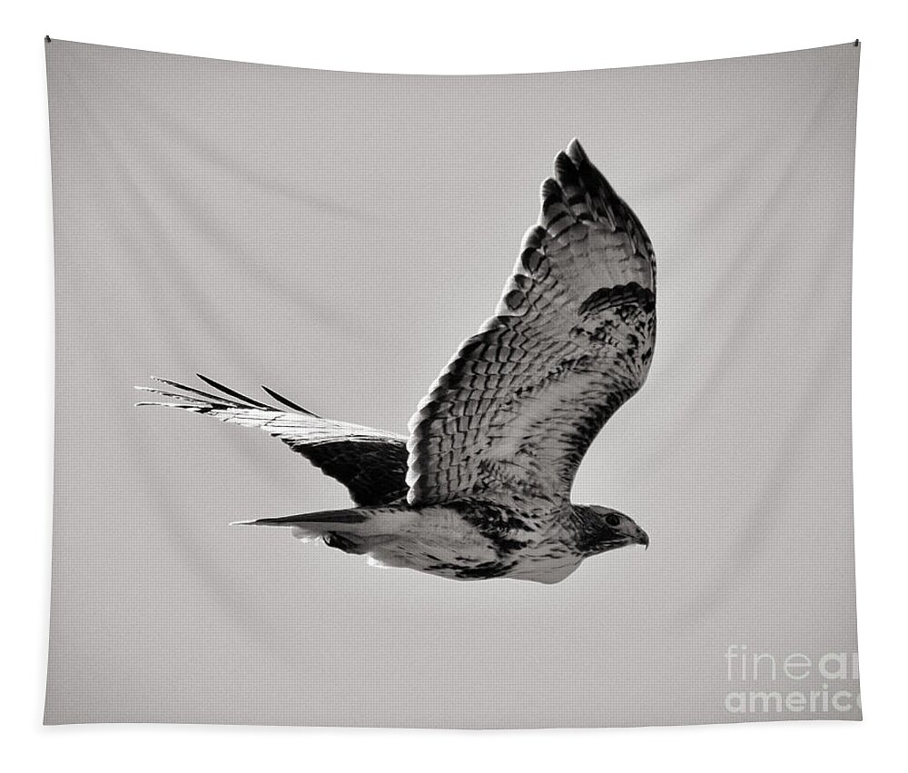 Oklahoma Tapestry featuring the photograph Oklahoma Hawk by Anita Streich