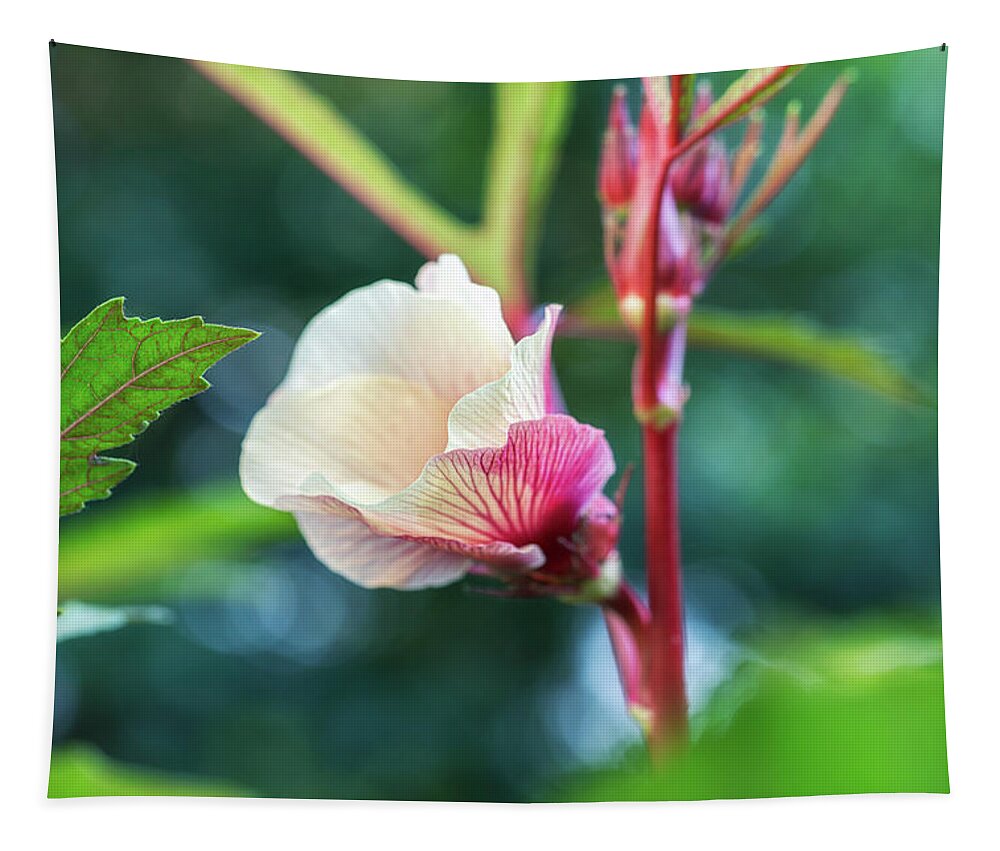 Macro Tapestry featuring the photograph Okra Flower Close Up by Marianne Campolongo