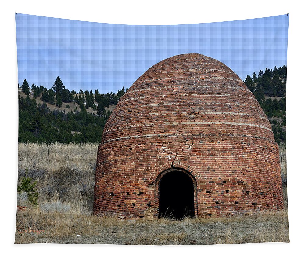 Furnace Tapestry featuring the photograph Old Beehive Furnace by Kae Cheatham