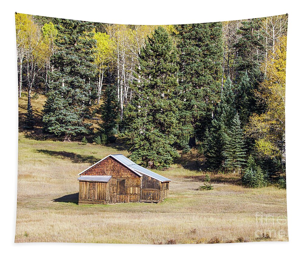 Homestead Tapestry featuring the photograph Old Colorado Homestead by Shirley Dutchkowski