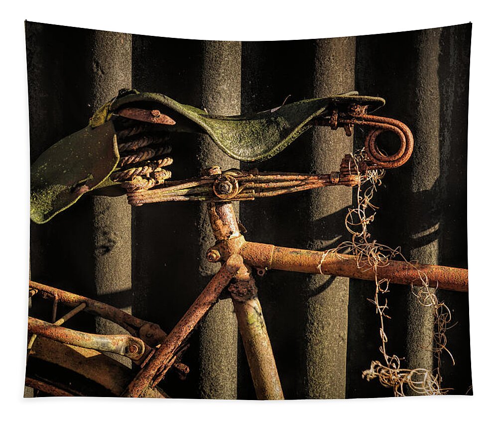 Bike Tapestry featuring the photograph Old Friend by Richard Downs