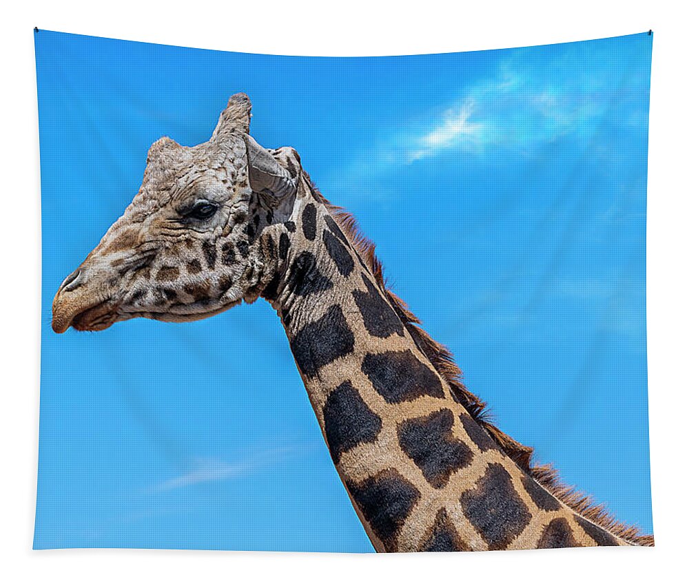  Tapestry featuring the photograph Old Giraffe by Al Judge