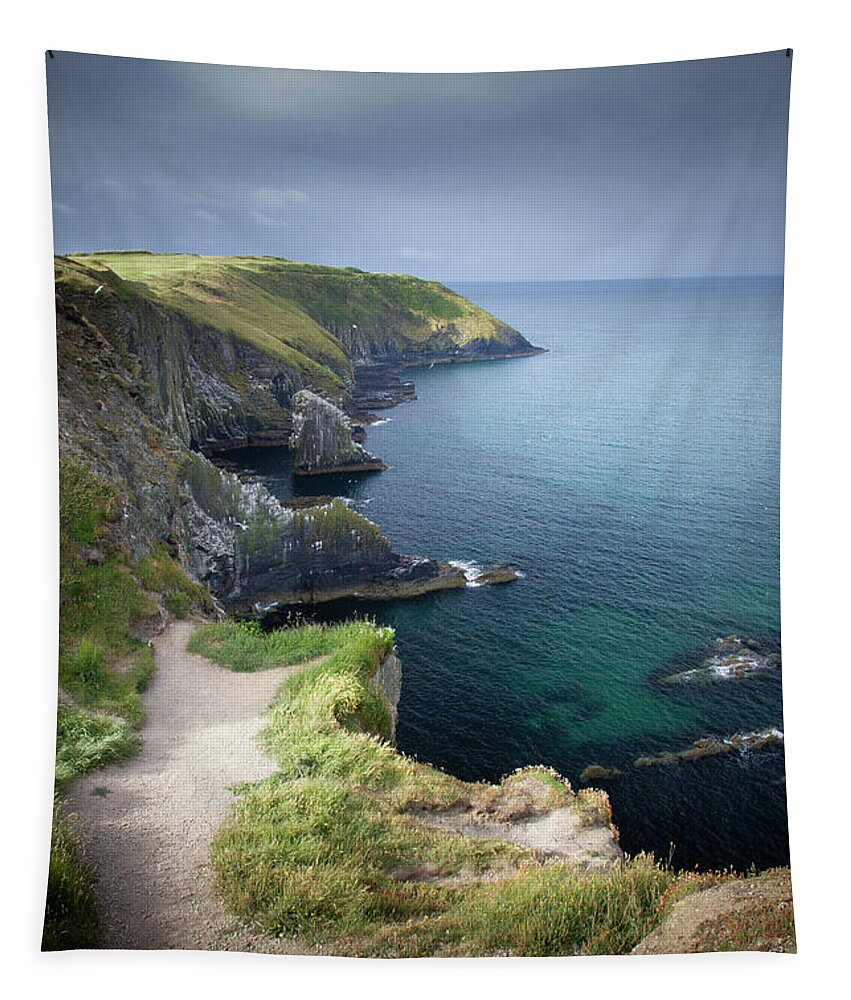 Old Head Of Kinsale Tapestry featuring the photograph Old Head of Kinsale by Mark Callanan
