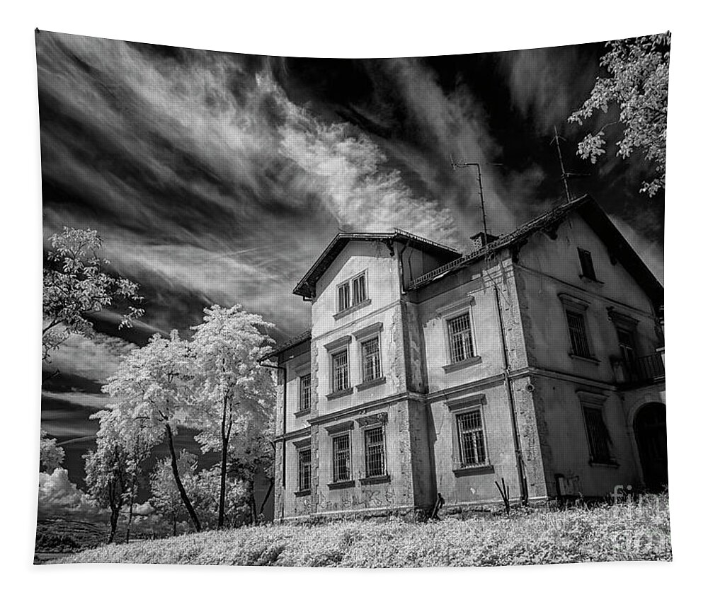 Top Artist Tapestry featuring the photograph Old House Remembering Better Days by Norman Gabitzsch