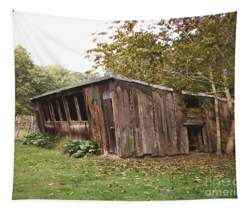 Days Gone By Tapestry featuring the photograph Old lean to by Cindy Murphy