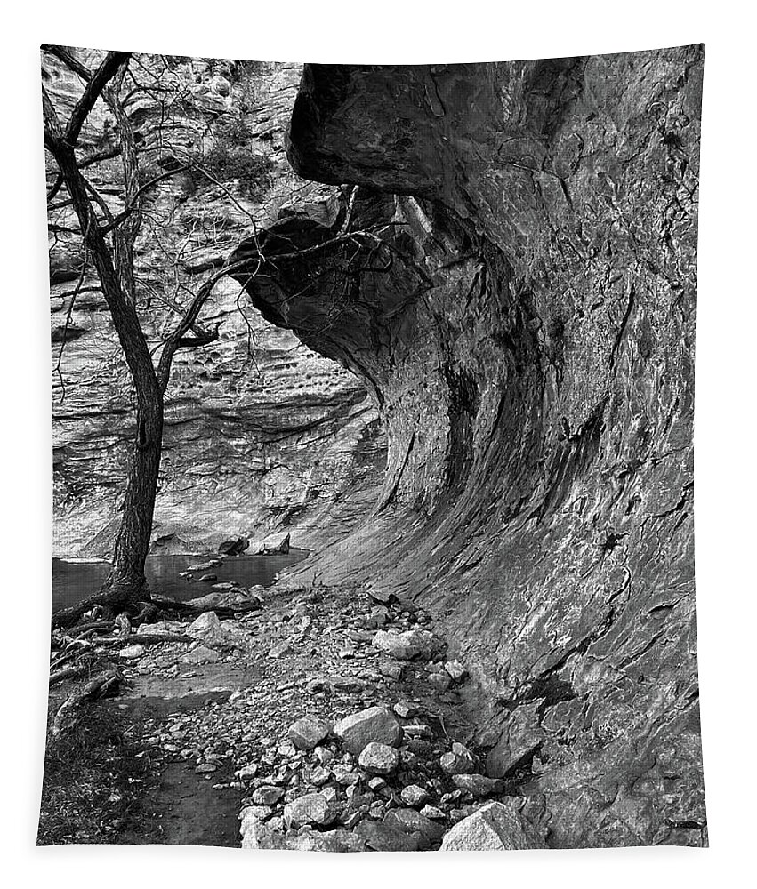 Richard E Porter Tapestry featuring the photograph Old Tree and Overhang 2-Sitting Bull Falls, New Mexico-Guadalupe Mountains, Lincoln National Forest by Richard Porter