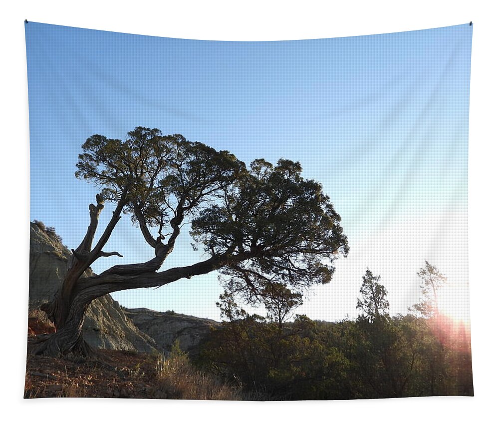 Juniper Tapestry featuring the photograph Old Twisted Juniper 1 by Amanda R Wright