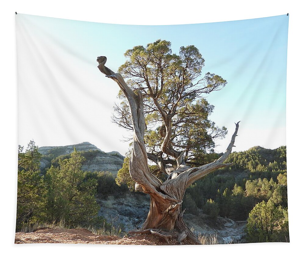 Juniper Tapestry featuring the photograph Old Twisted Juniper 2 by Amanda R Wright