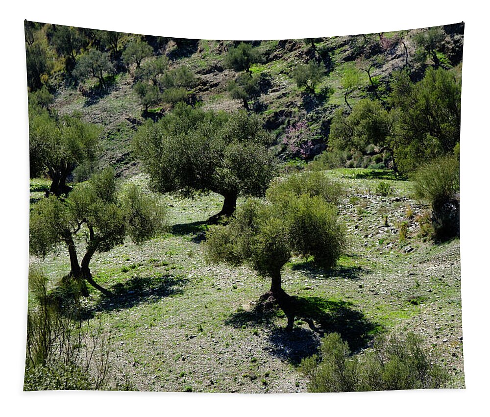 Olives Tapestry featuring the photograph Olive green by Gary Browne