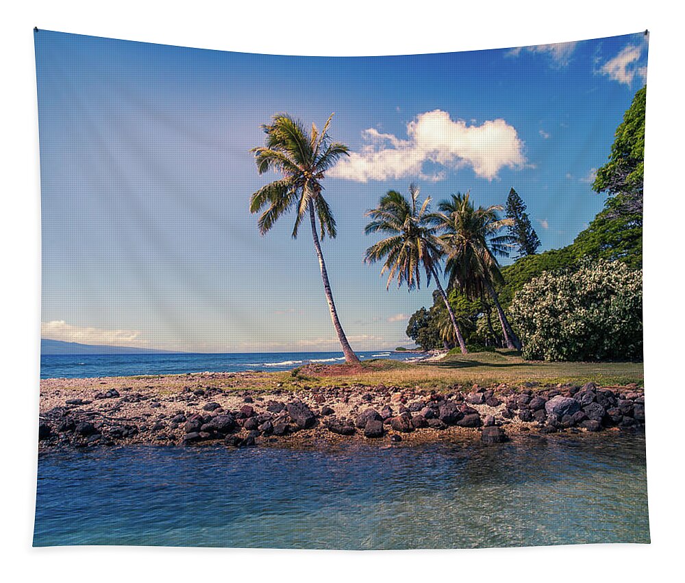 Maui Tapestry featuring the photograph Olowalu Bay by Chris Spencer