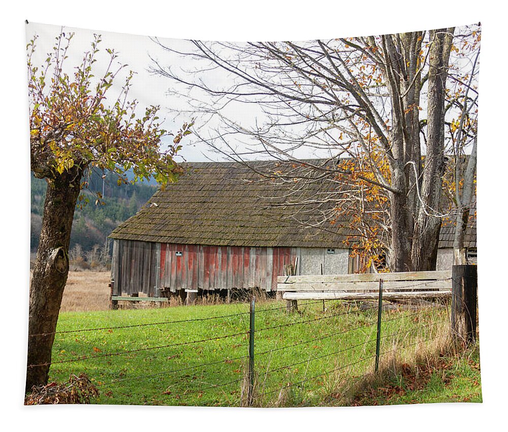Olympic Peninsula Tapestry featuring the photograph Olympic Peninsula Barn by Cathy Anderson