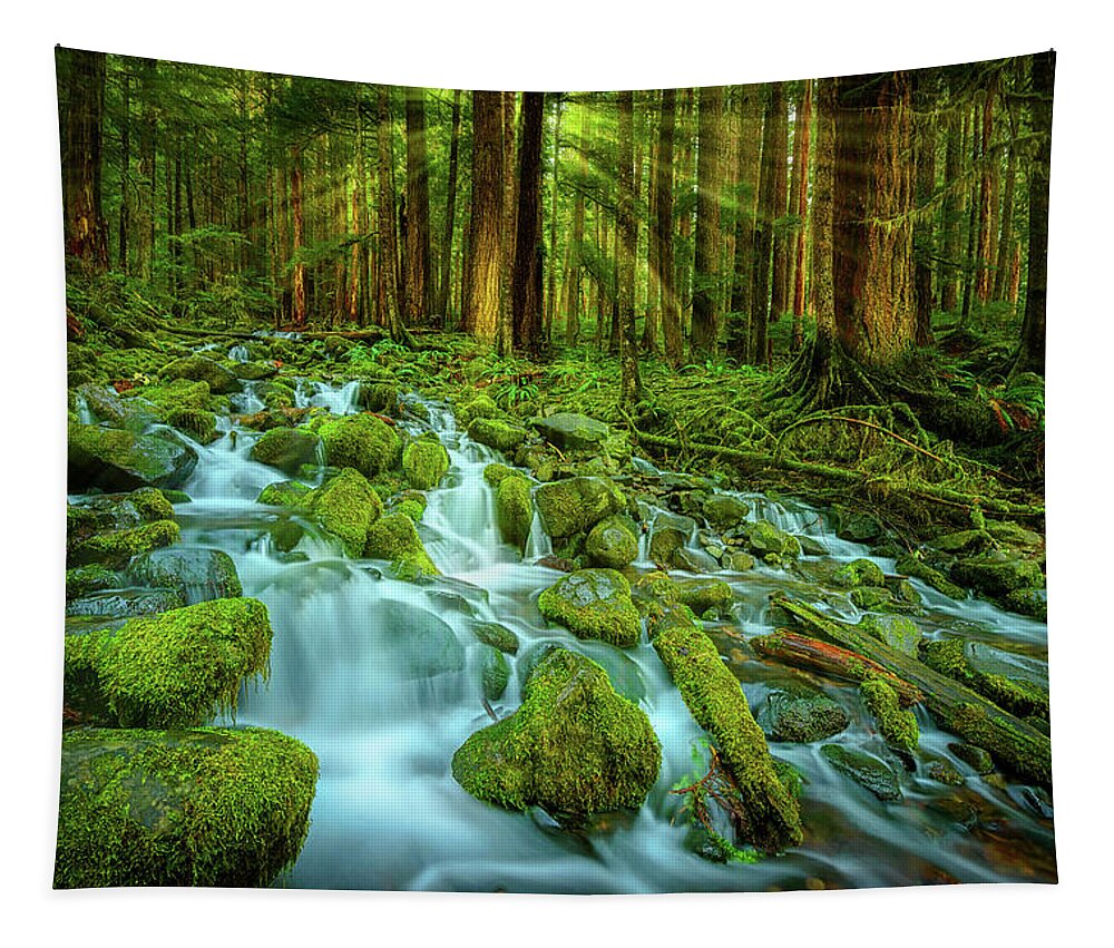 Sol Duc Tapestry featuring the photograph Olympic Rainforest by Dan Mihai