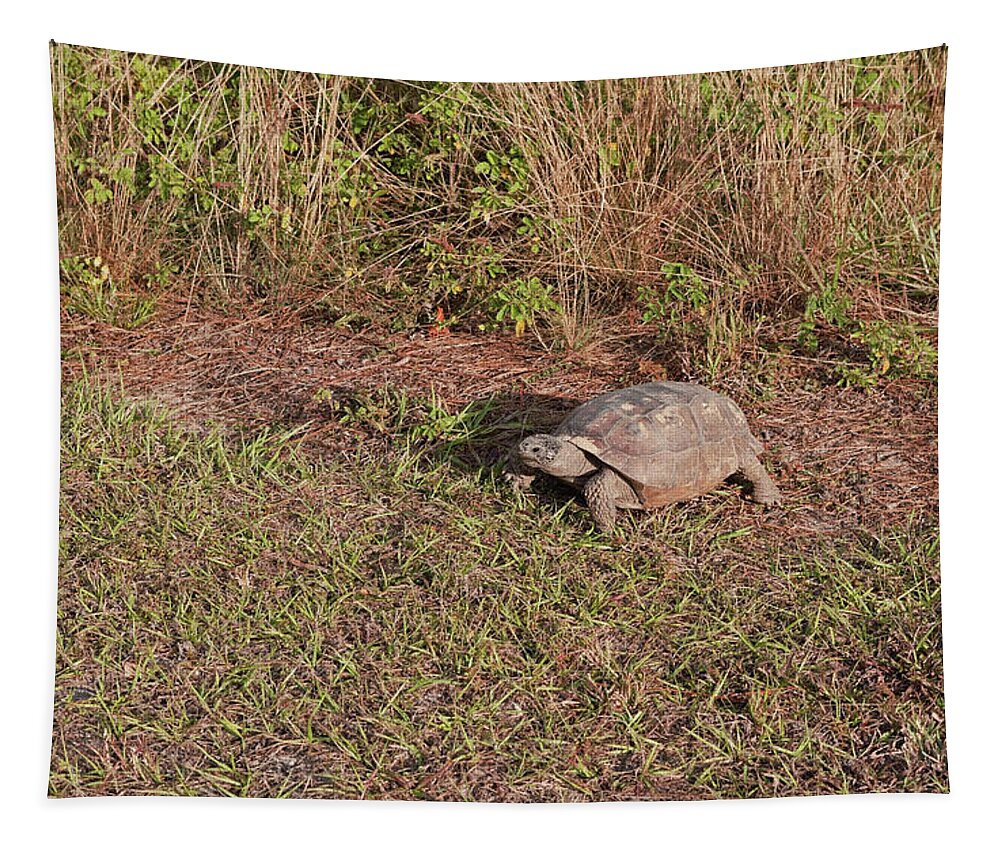 Turtle Tapestry featuring the photograph On a Mission by Karen Harrison Brown