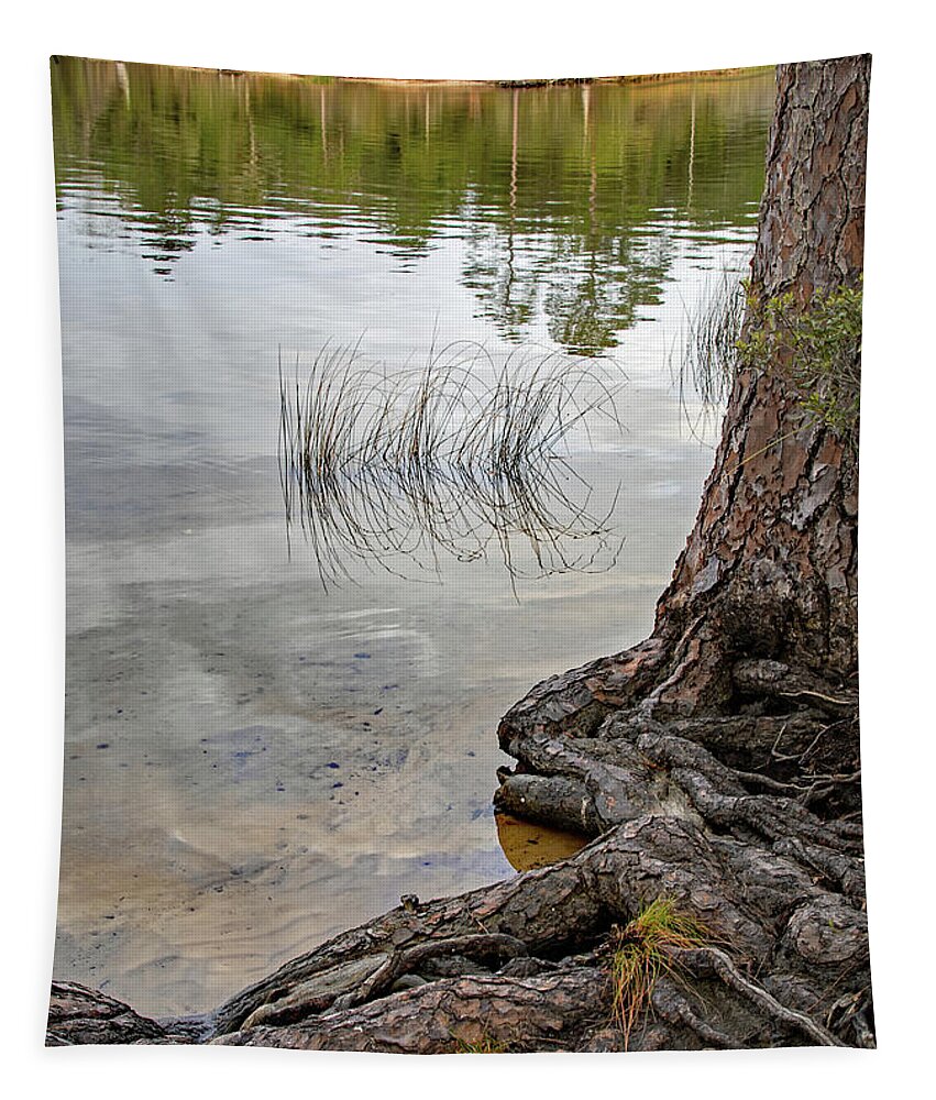 Bayou Tapestry featuring the photograph On the Bayou by M Kathleen Warren