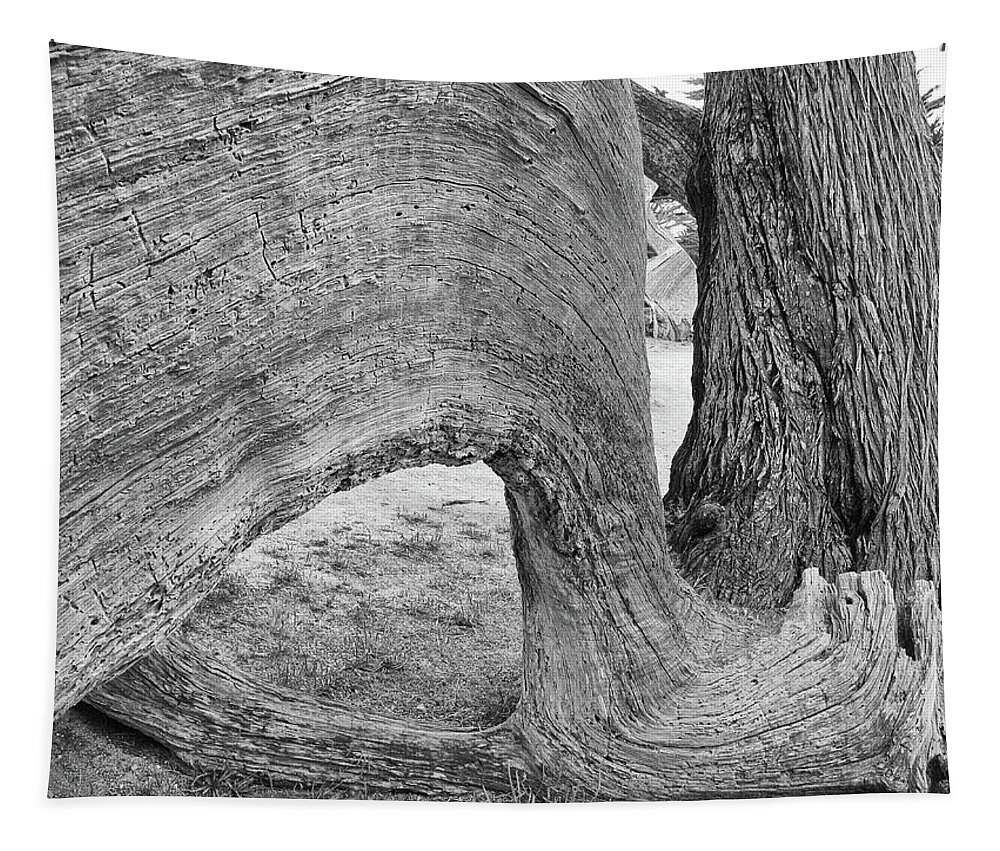 Driftwood Tapestry featuring the photograph On the Beach1 by Doug Matthews