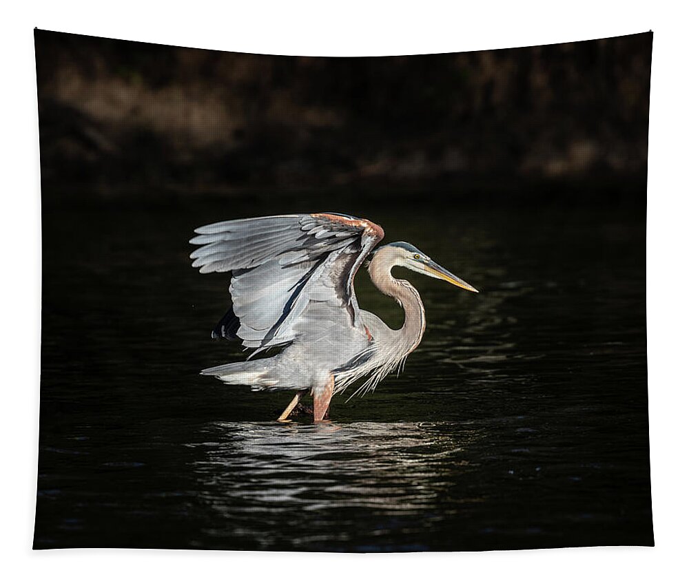 Great Blue Heron Tapestry featuring the photograph On The Hunt by Jordan Hill
