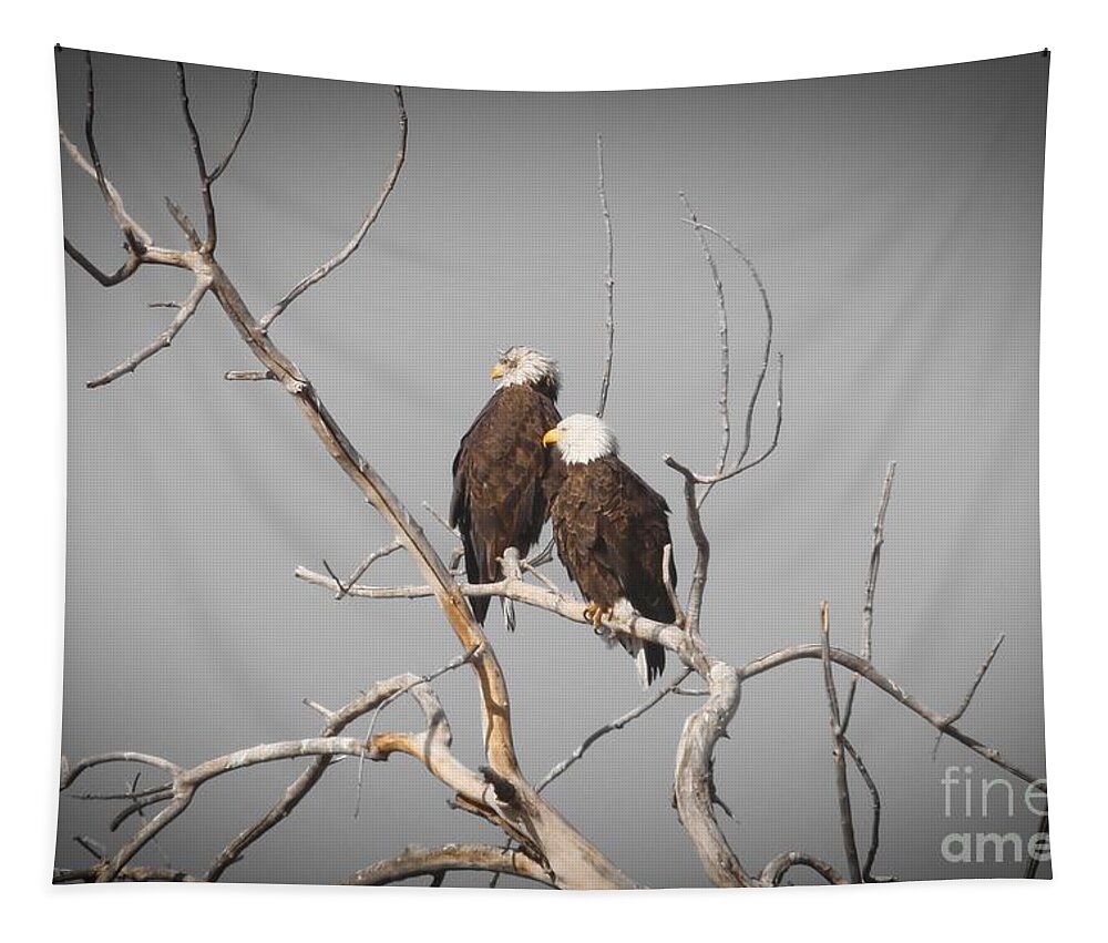 Eagles Tapestry featuring the photograph On the Lookout by Veronica Batterson