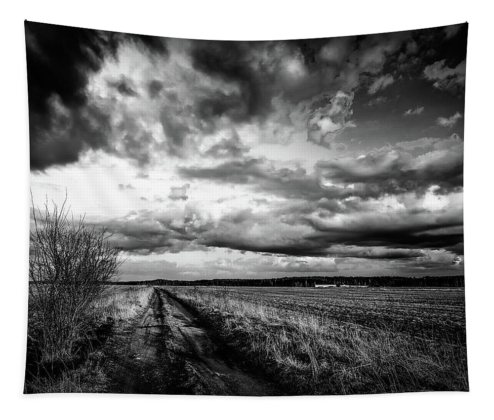 Road Tapestry featuring the photograph On The Road Again LRBW by Michael Damiani
