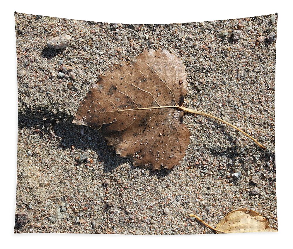 Leaf Tapestry featuring the photograph One Aspen Leaf by Ruth Kamenev