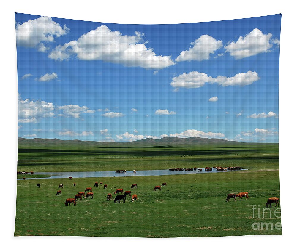 One Day Countryside Tapestry featuring the photograph One day Countryside by Elbegzaya Lkhagvasuren