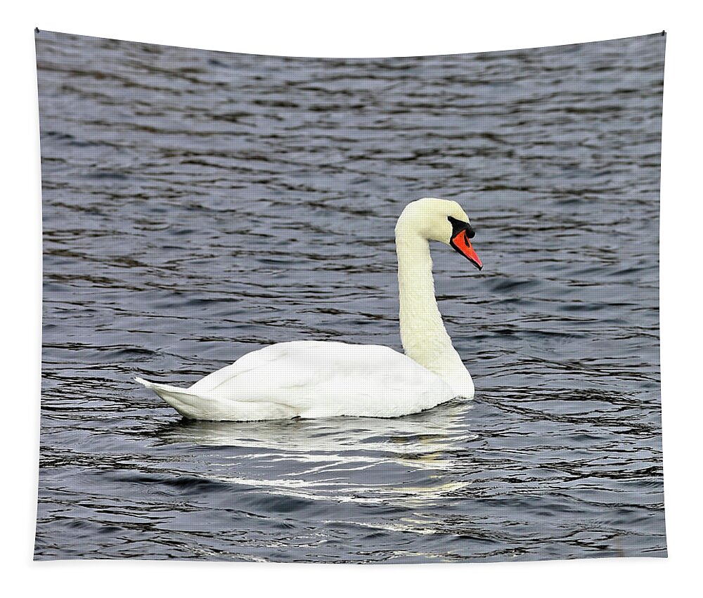 Swan Tapestry featuring the photograph One Swan Swimming by Doolittle Photography and Art