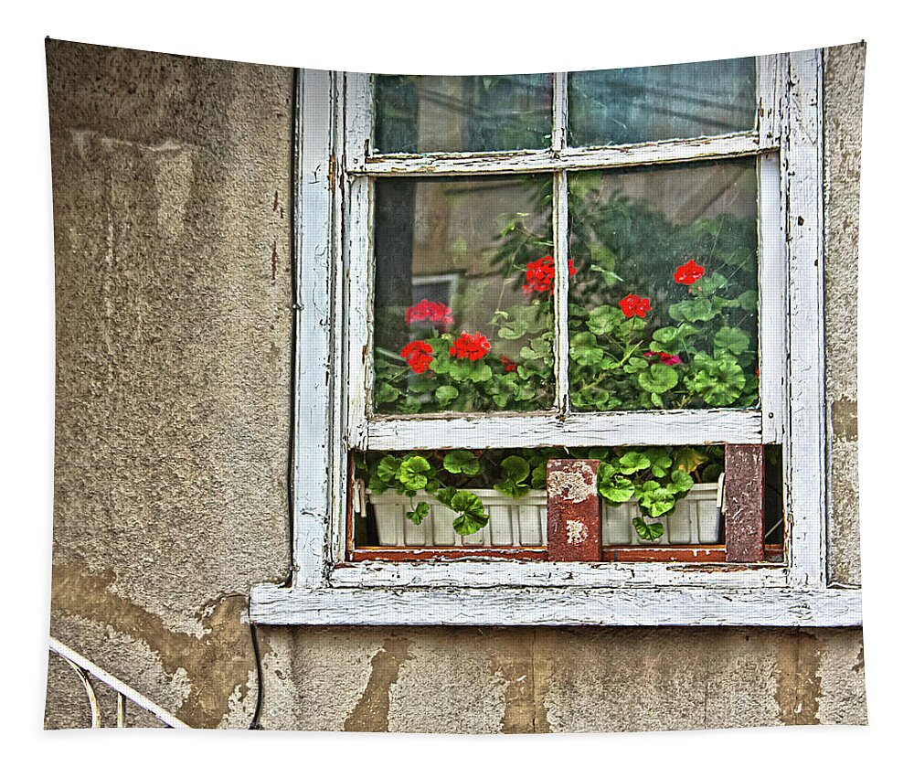 Window Tapestry featuring the photograph Open window by Tatiana Travelways