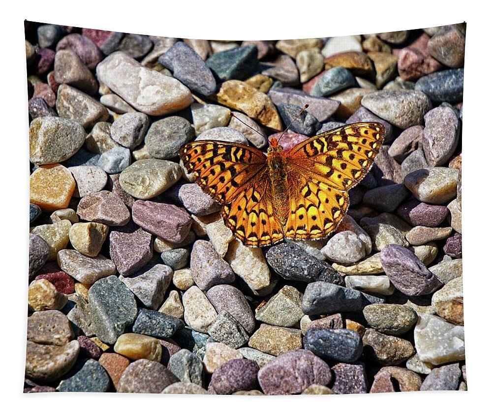 Butterflies Tapestry featuring the photograph Orange And Black Butterfly by David Desautel
