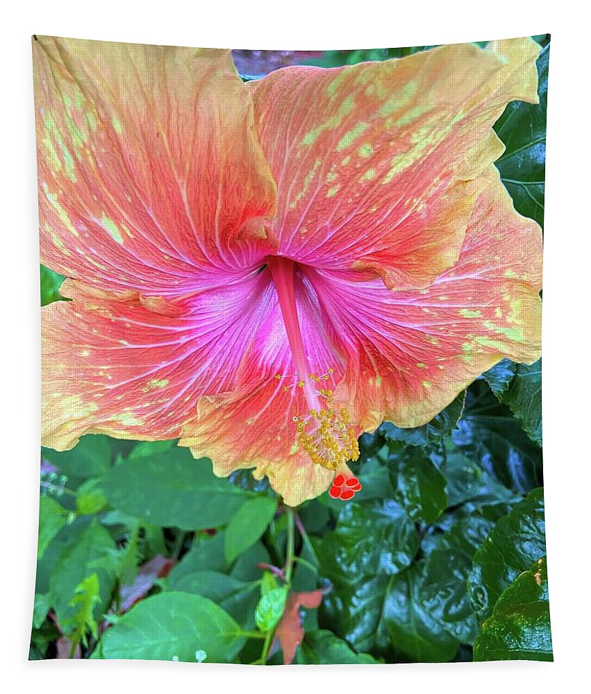 Flower Tapestry featuring the photograph Orange And Pink Hibiscus by Jeff Iverson