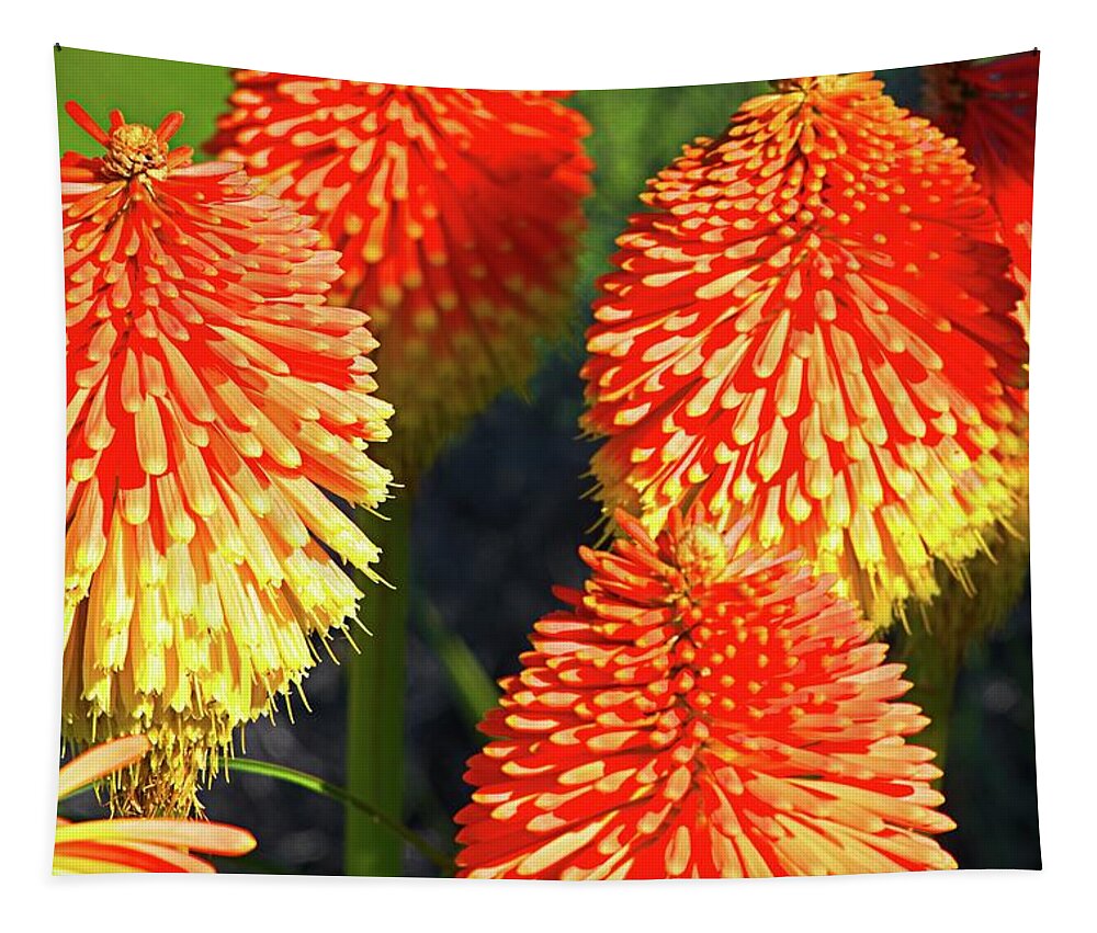 Blooming Tapestry featuring the photograph Orange And Yellow Blossoms by David Desautel