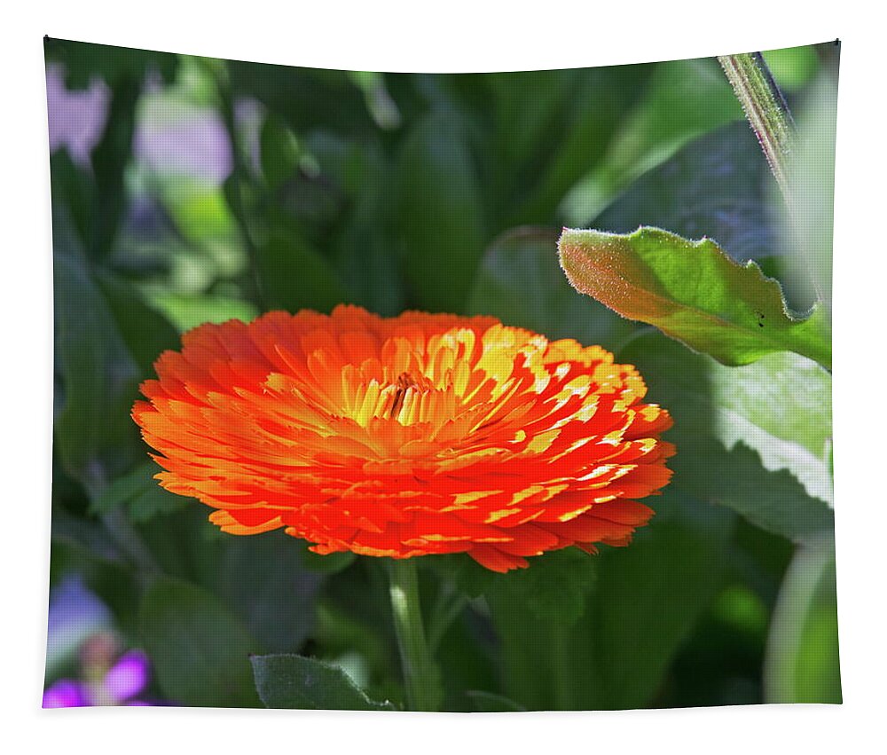 Beautiful Tapestry featuring the photograph Orange Blossom by David Desautel