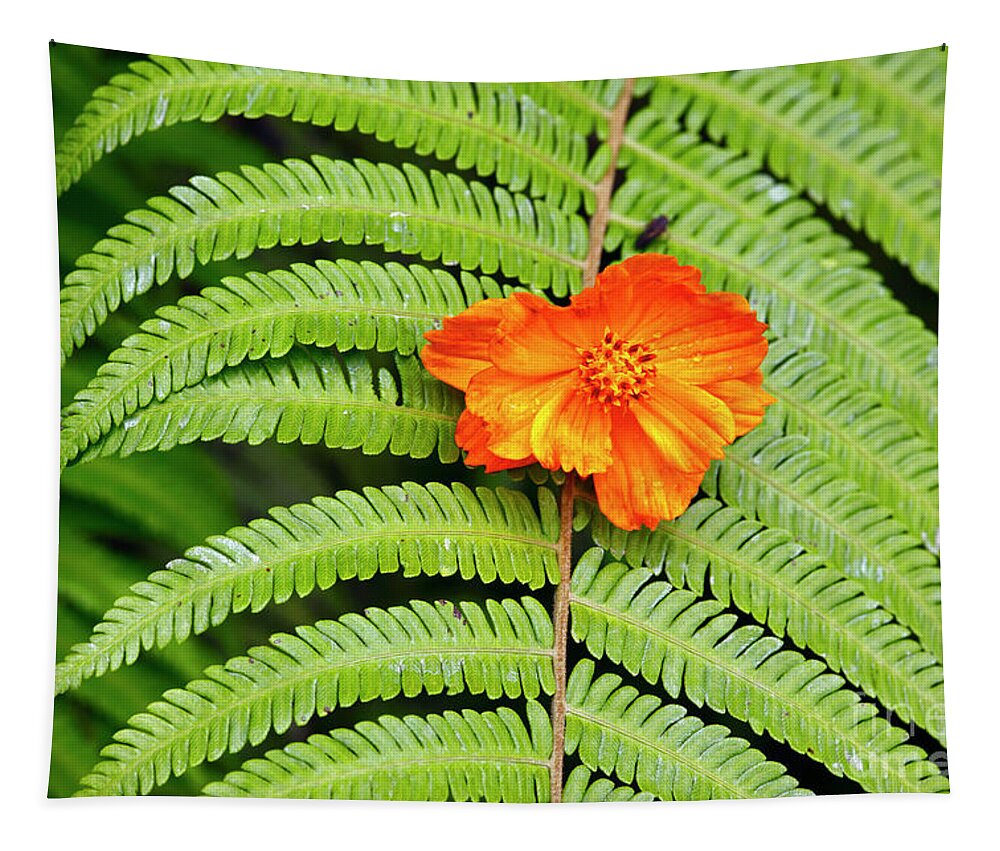 Fern Tapestry featuring the photograph Orange flower and green fern by James Brunker