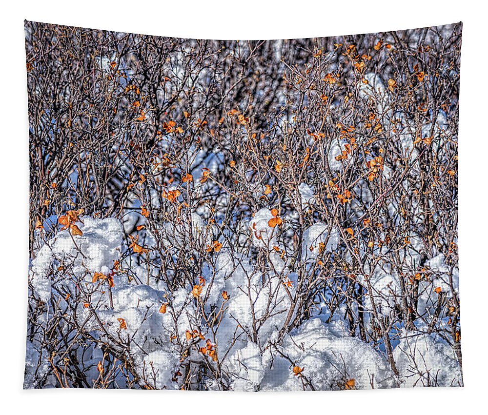 Jon Burch Tapestry featuring the photograph Orange Leaves In The Snow by Jon Burch Photography