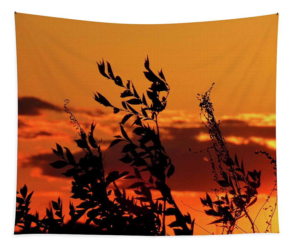 Sunset Tapestry featuring the photograph Orange Sunset Sky by Linda Stern