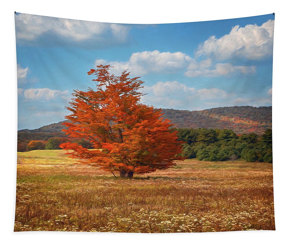 Canaan Valley Tapestry featuring the photograph Orange Tree in Canaan Valley by Jaki Miller
