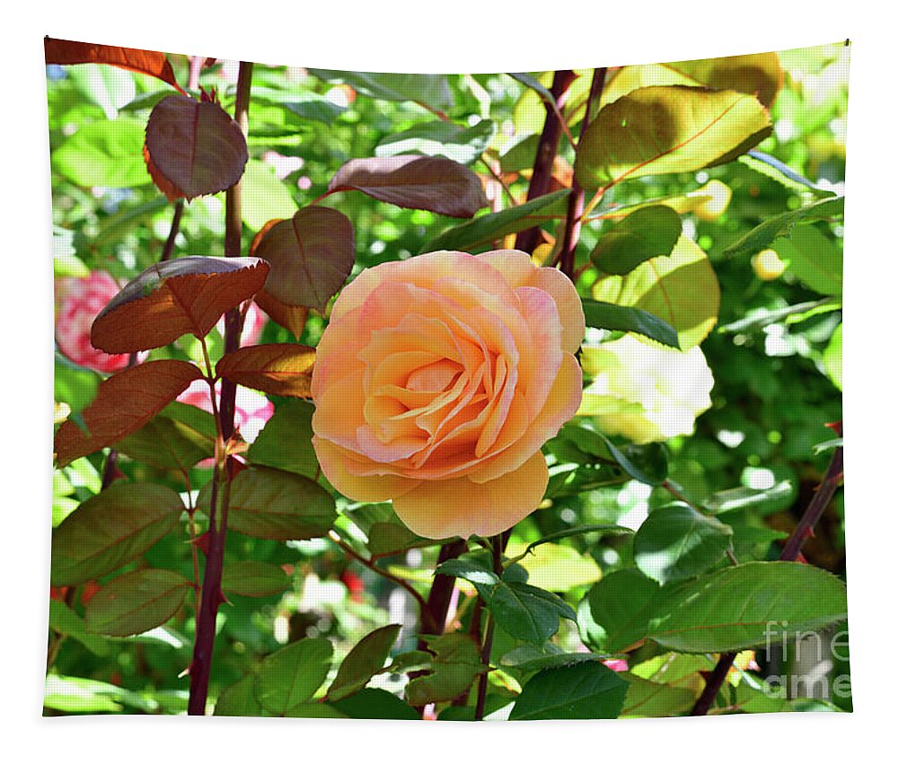 Yellow Tapestry featuring the photograph Orange Yellow sheded rose by Amazing Action Photo Video