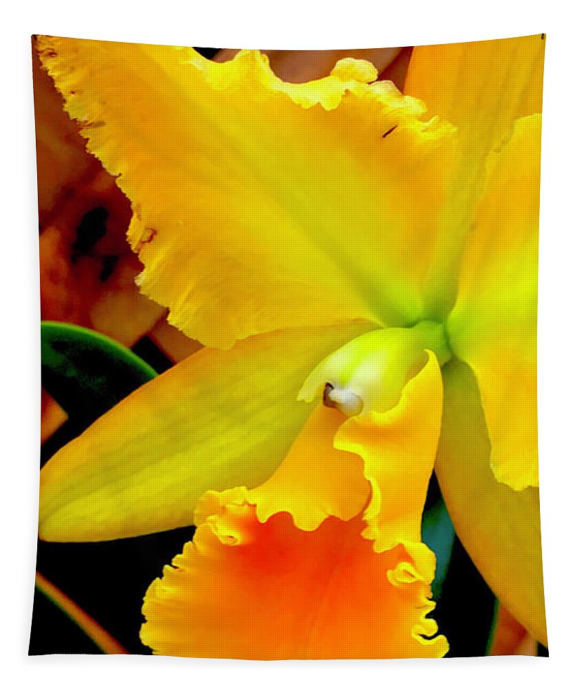  Tapestry featuring the photograph Orchid Aloha Yellow by Joalene Young