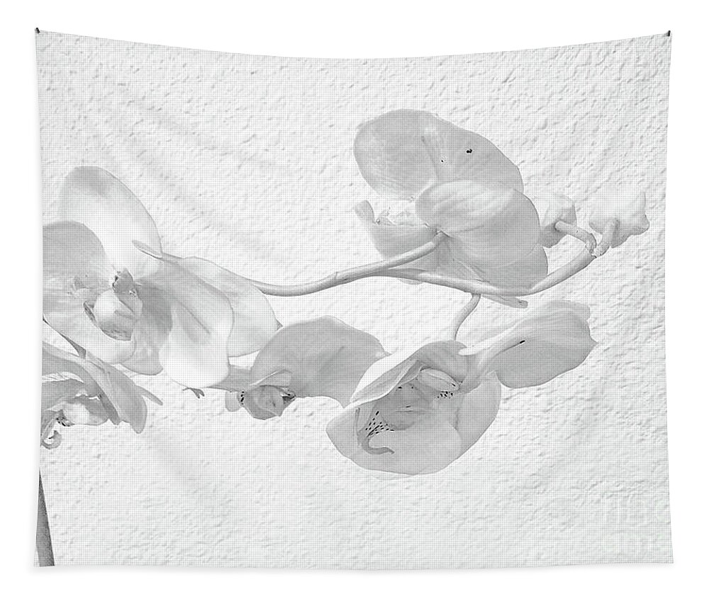 Still Life Tapestry featuring the painting Orchid Black and White by Sharon Williams Eng