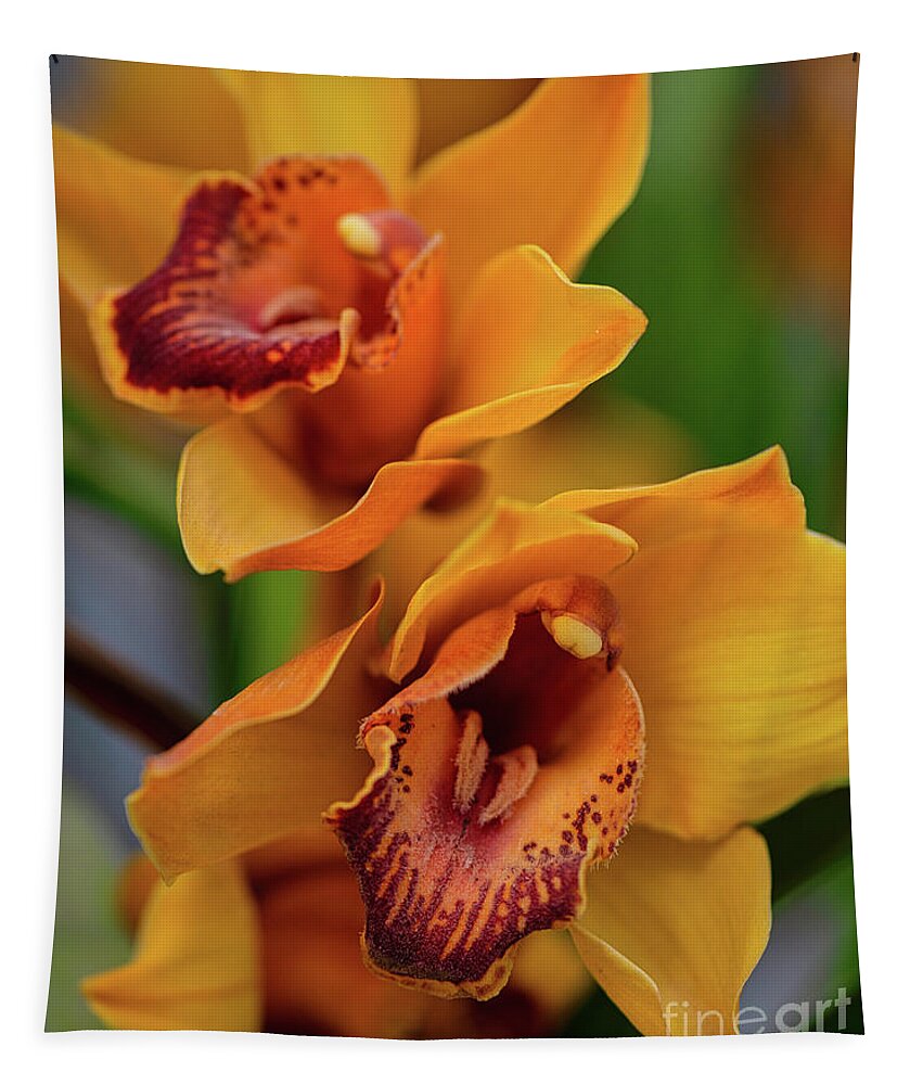 Orchids Tapestry featuring the photograph Orchids Yellow and Red by Abigail Diane Photography