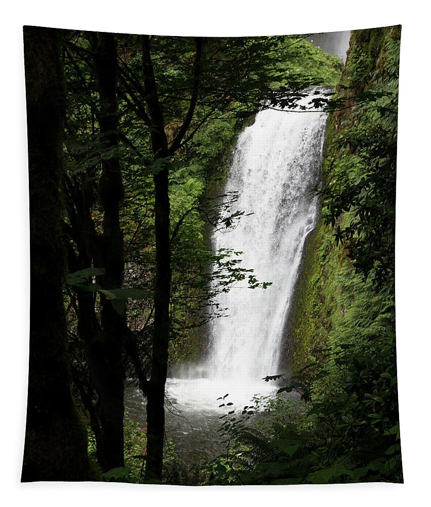 Waterfall Tapestry featuring the photograph Oregon Drop by Jim Whitley