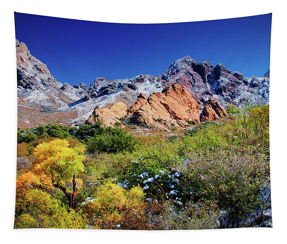 Organ Mountains Tapestry featuring the photograph Organ Mountains Transition by Zayne Diamond Photographic